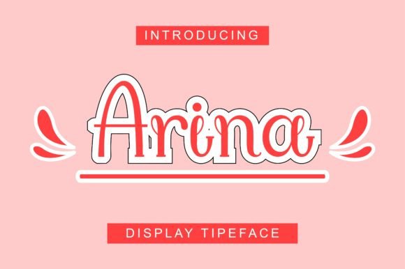Arina Font Review for Digital Campaigns