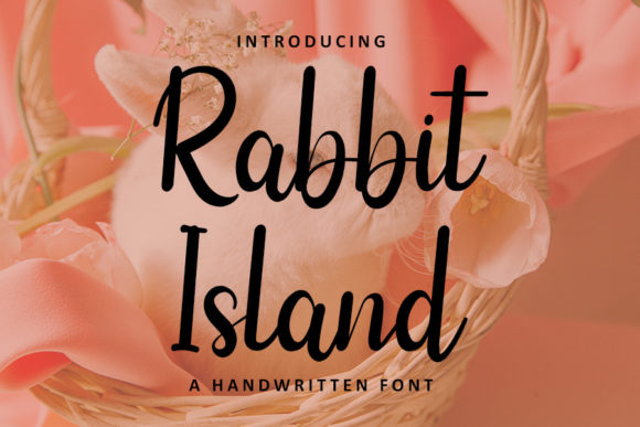 Rabbit Island: The Script Handwritten Font for Modern Brands