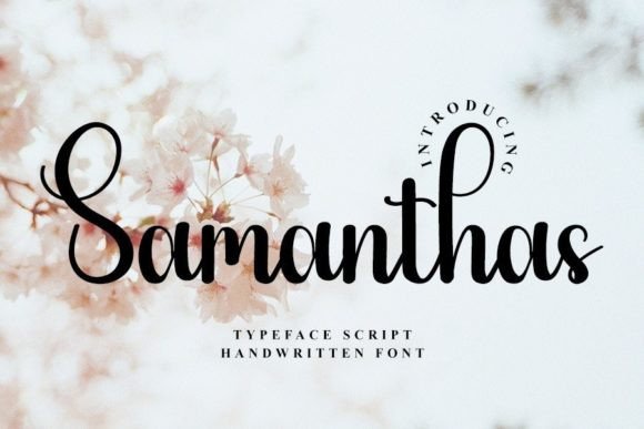 Samanthas Font Review for Modern Campaigns