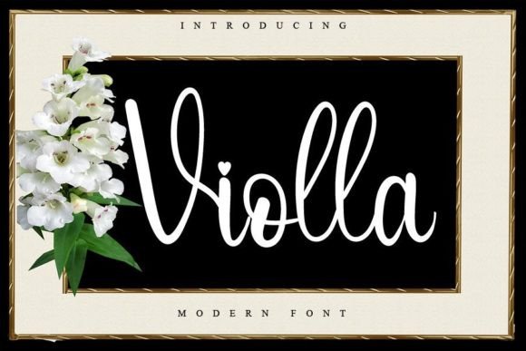 Violla Font Review for Modern Campaign Design