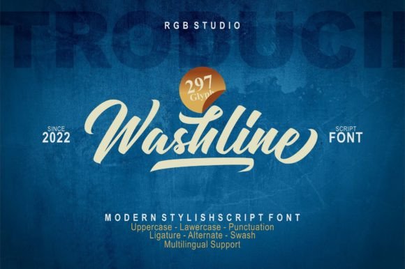 Washline: A Script Handwritten Font for Modern Branding